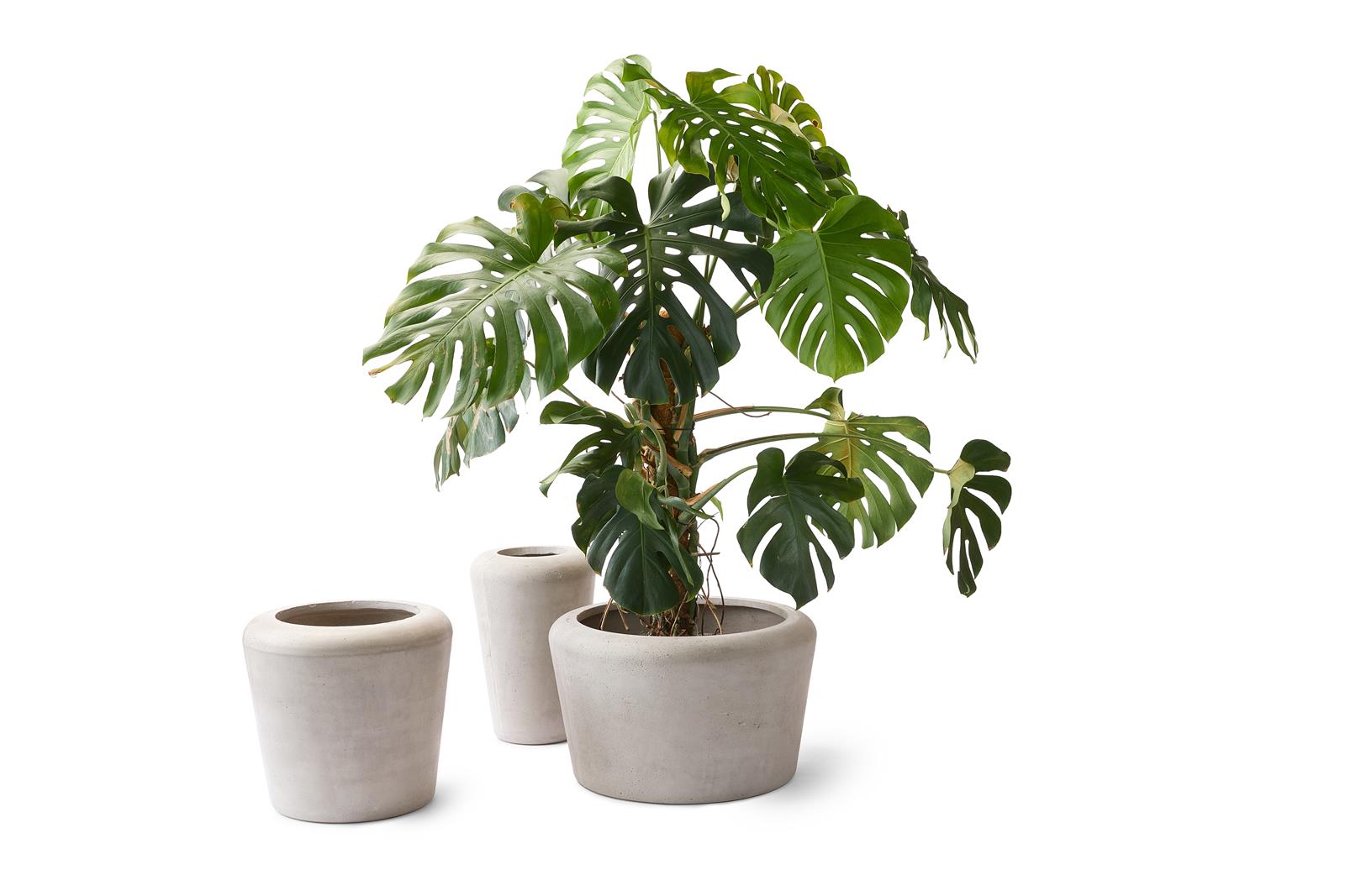 Queen Pflanztrog S Ø 33 cm Beton ivory