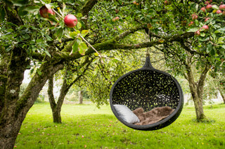 Hanging Lounger Bios Mini